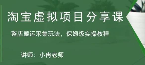 淘宝虚拟整店搬运采集玩法分享课：整店搬运采集玩法，保姆级实操教程-灵动共创
