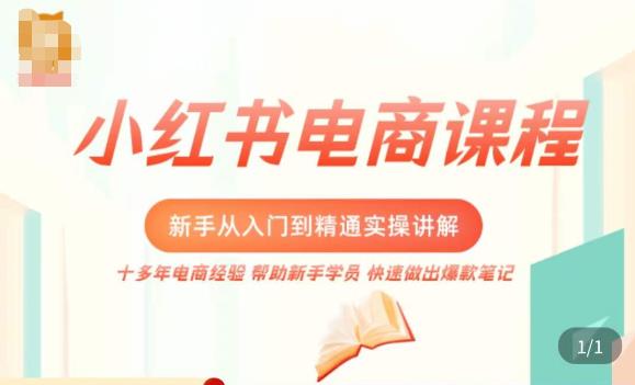 小红书电商新手入门到精通实操课，从入门到精通做爆款笔记，开店运营-灵动共创