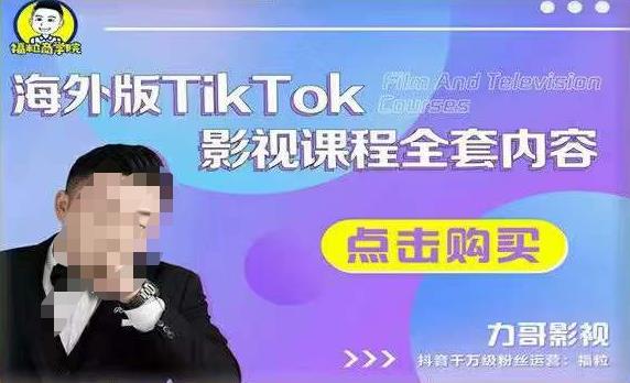 海外TikTok影视课程全套，从搭建渠道，到如何正确使用账号，到未来的变现渠道等-灵动共创