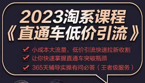 2023直通车低价引流玩法课程，小成本大流量，低价引流快速拉新收割，让你快速掌握直通车突破瓶颈-灵动共创