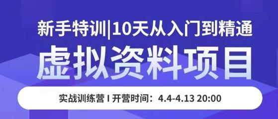 虚拟资料项目新手特训，10天从入门到精通，保姆级实操教学-灵动共创