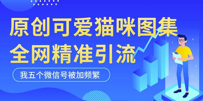 黑科技纯原创可爱猫咪图片，全网精准引流，实操5个VX号被加频繁-灵动共创