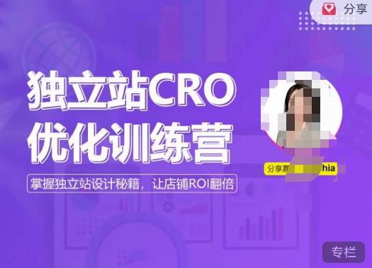 独立站CRO优化训练营，掌握独立站设计秘籍，打造高转化的独立站，让店铺ROI翻倍-灵动共创