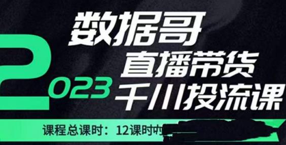 数据哥2023直播电商巨量千川付费投流实操课，快速掌握直播带货运营投放策略-灵动共创