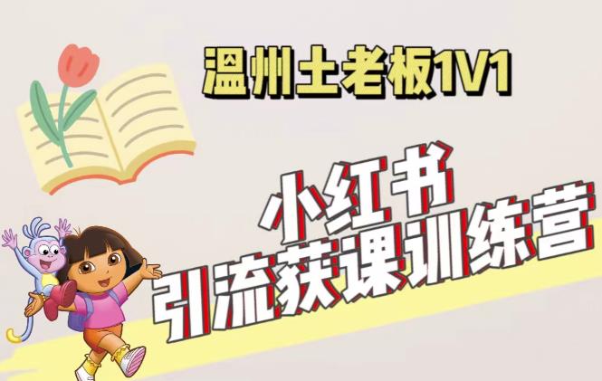 小红书1对1引流获客训练营：账号、内容、引流、成交（价值3999元）-灵动共创