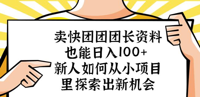 卖快团团团长资料也能日入100+新人如何从小项目里探索出新机会-灵动共创