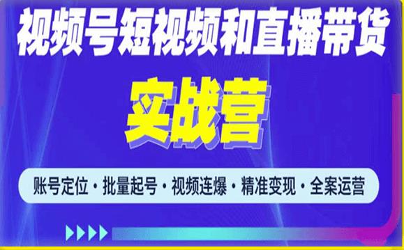 2023最新微信视频号引流和变现全套运营实战课程，小白也能玩转视频号短视频和直播运营-灵动共创