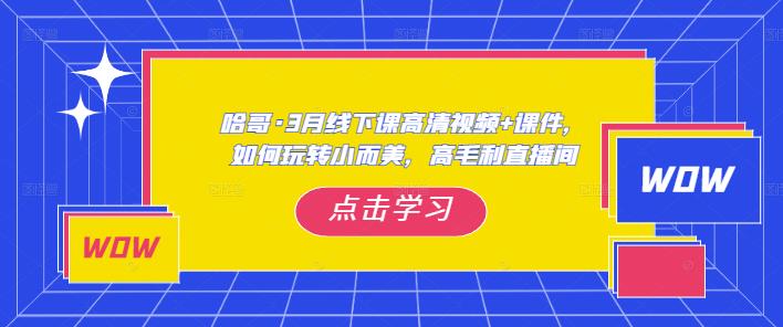 哈哥·3月线下实操课高清视频+课件，如何玩转小而美，高毛利直播间-灵动共创