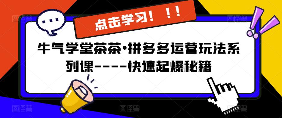 牛气学堂茶茶•拼多多运营玩法系列课—-快速起爆秘籍【更新】-灵动共创