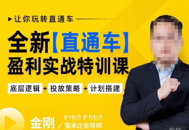 玺承·全新直通车盈利实战特训课，从​底层逻辑详细拆解，从底层，策略到搭建，让你玩转直通车-灵动共创
