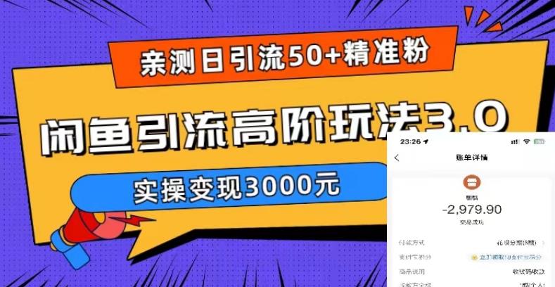 亲测日引50+精准粉，闲鱼引流高阶玩法3.0，实操变现3000元【揭秘】-灵动共创