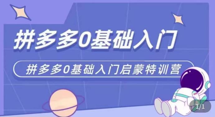 拼多多运营0-1实操特训营，拼多多0基础入门，从基础到进阶的可实操玩法-灵动共创