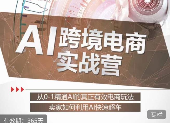 白龙老师·AI跨境电商实战营：从0-1精通Al的真正有效电商玩法，卖家如何利用Al快速超车-灵动共创