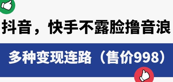 抖音快手不露脸撸音浪项目，多种变现连路（售价998）-灵动共创