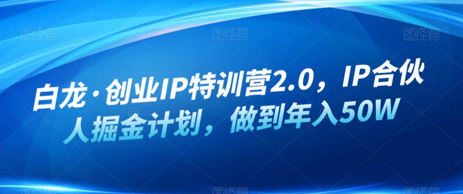 白龙·创业IP特训营2.0，IP合伙人掘金计划，做到年入50W-灵动共创