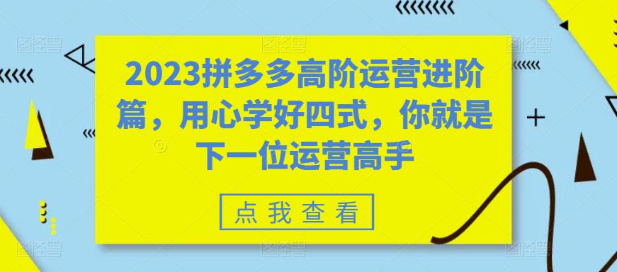 2023拼多多高阶运营进阶篇，用心学好四式，你就是下一位运营高手-灵动共创
