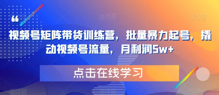 视频号矩阵带货训练营，批量暴力起号，撬动视频号流量，月利润5w+-灵动共创