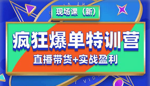 抖音短视频疯狂爆单特训营现场课（新）直播带货+实战案例-灵动共创