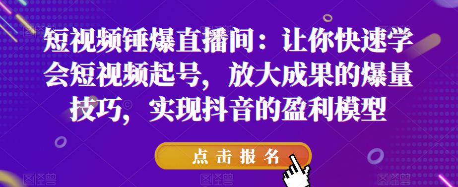 短视频锤爆直播间：让你快速学会短视频起号，放大成果的爆量技巧，实现抖音的盈利模型-灵动共创