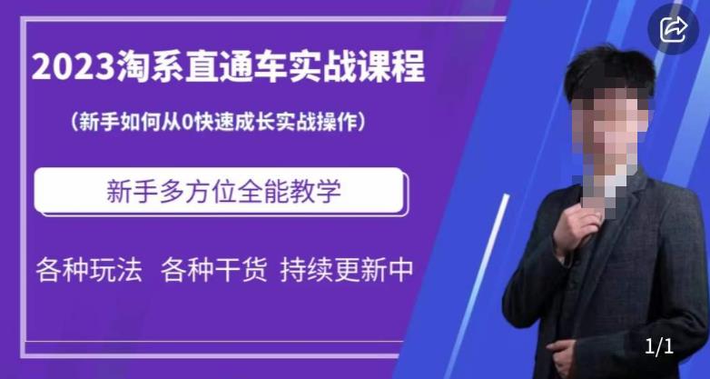 2023淘系直通车保姆式运营讲解，新手如何从0快速成长实战操作，新手多方位全能教学-灵动共创