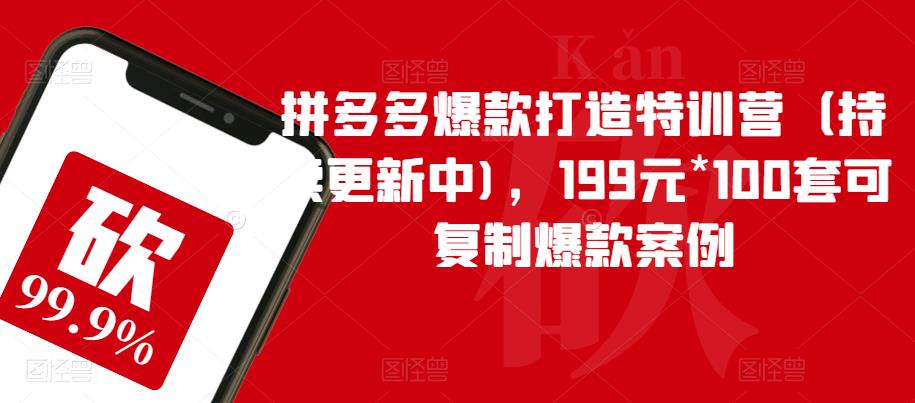 拼多多爆款打造特训营（持续更新中)，199元*100套可复制爆款案例-灵动共创