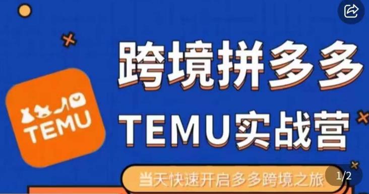 大鹏出海·拼多多跨境temu运营指导，开店注册+选品+核价上架，日出千单实战课-灵动共创