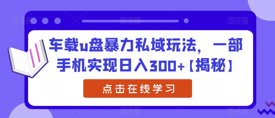 车载u盘暴力私域玩法，一部手机实现日入300+【揭秘】-灵动共创