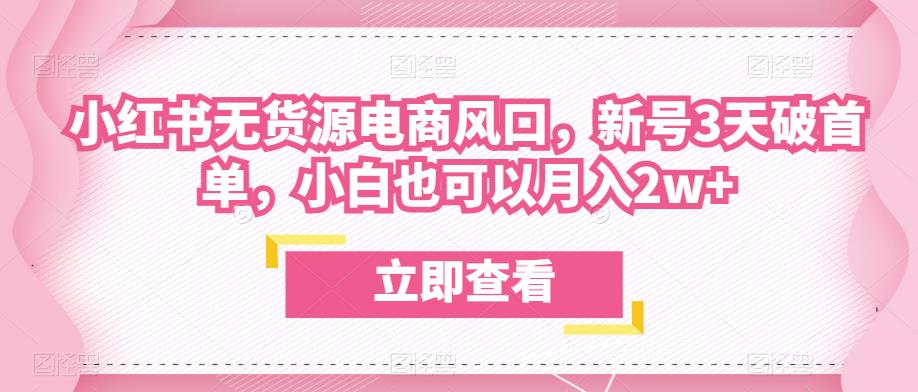 众狼电商余文小红书无货源电商风口，新号3天破首单，小白也可以月入2w+-灵动共创