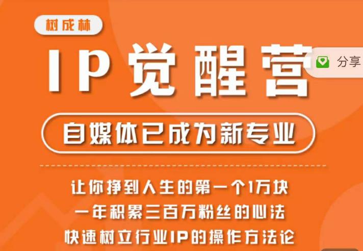 树成林·IP觉醒营，快速树立行业IP的操作方法论，让你赚到人生的第一个1万块（更新）-灵动共创