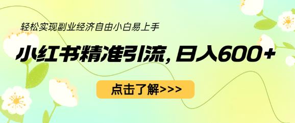 小红书精准引流，小白日入600+，轻松实现副业经济自由（教程+1153G资源）-灵动共创