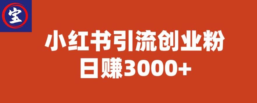 宝哥小红书引流创业粉，日赚3000+【揭秘】-灵动共创