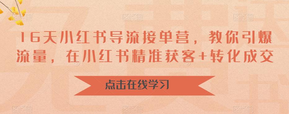 16天小红书导流接单营，教你引爆流量，在小红书精准获客+转化成交-灵动共创