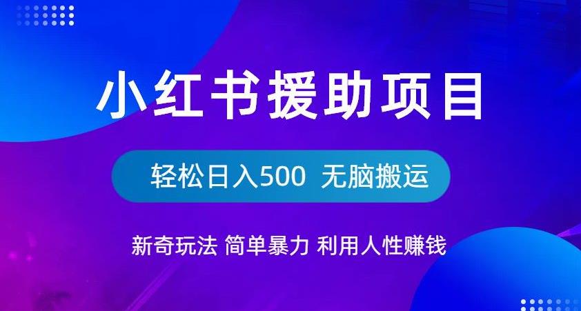 小红书援助项目新奇玩法，简单暴力，无脑搬运轻松日入500【揭秘】-灵动共创