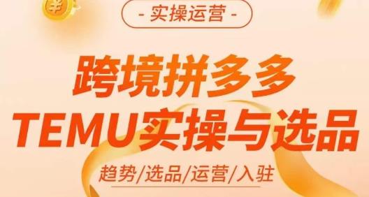 伍跃·跨境拼多多TEMU实操与选品，​趋势/选品/运营/入住（27节完整）-灵动共创