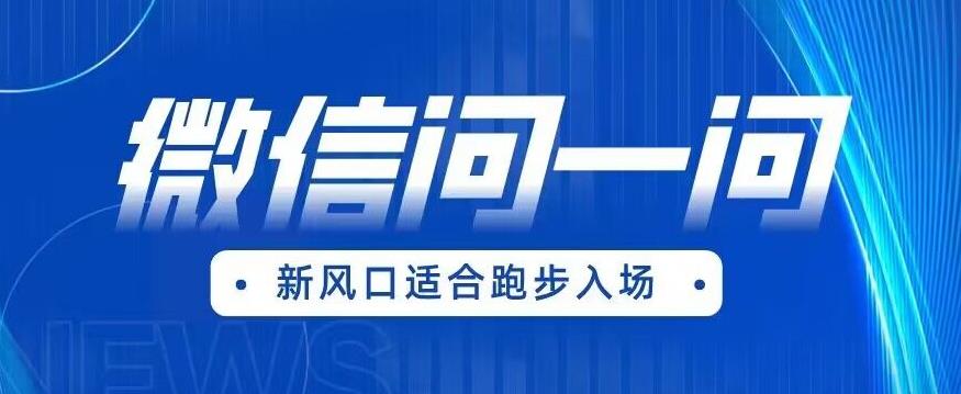 全网首发微信问一问新风口变现项目（价值1999元）【揭秘】-灵动共创
