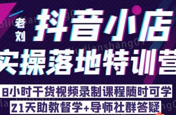 老刘·抖店商品卡流量，​抖音小店实操落地特训营，8小时干货视频录制课程随时可学-灵动共创