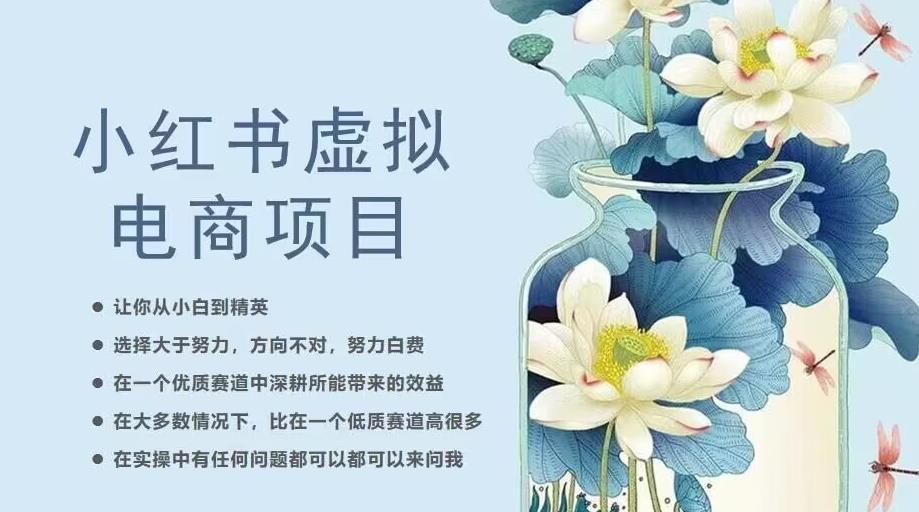 小红书虚拟电商从0到1，让你从小白到精英（20节实操课程）-灵动共创