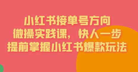 接单号方向·小红书微操实践课，快人一步，提前掌握小红书爆款玩法-灵动共创