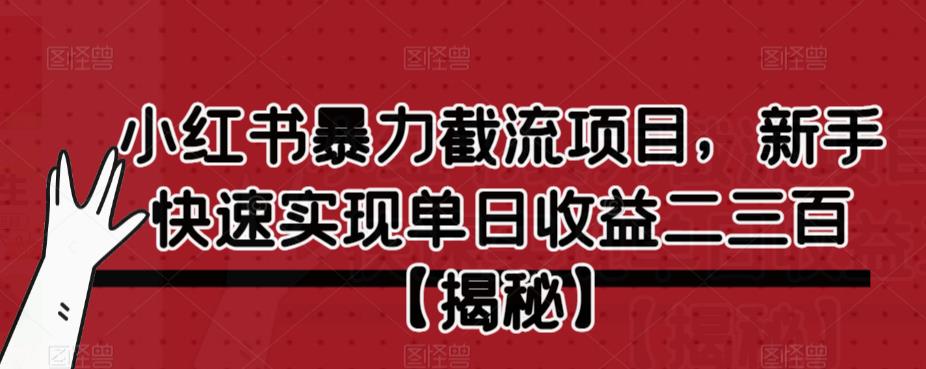 小红书暴力截流项目，新手快速实现单日收益二三百【仅揭秘】-灵动共创