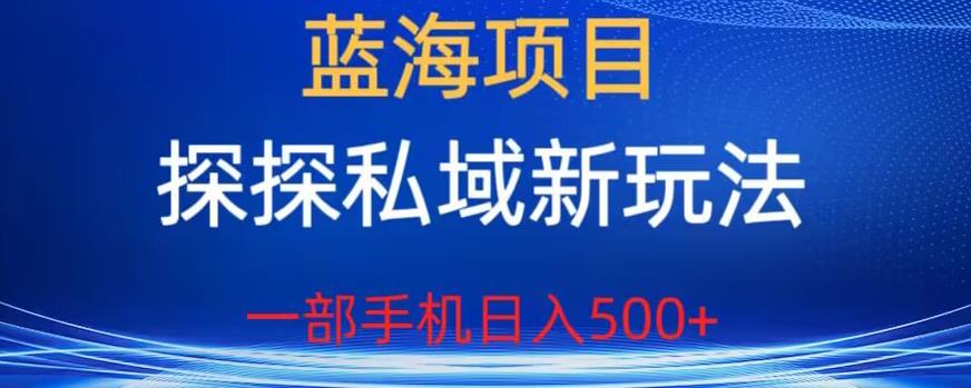 蓝海项目，探探私域新玩法，一部手机日入500+很轻松【揭秘】-灵动共创