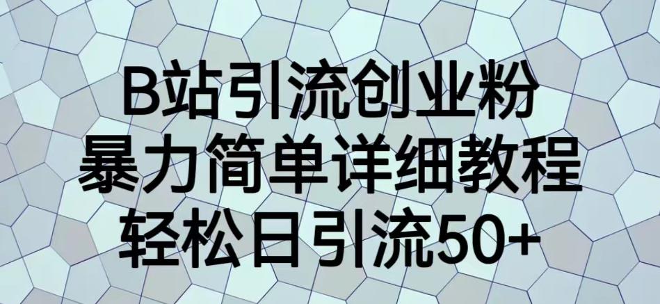 B站引流创业粉，暴力简单详细教程，轻松日引流50+【揭秘】-灵动共创