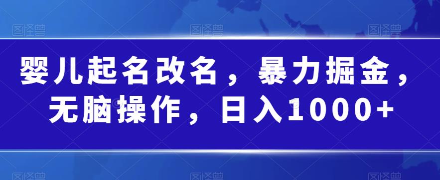 婴儿起名改名，暴力掘金，无脑操作，日入1000+【揭秘】-灵动共创