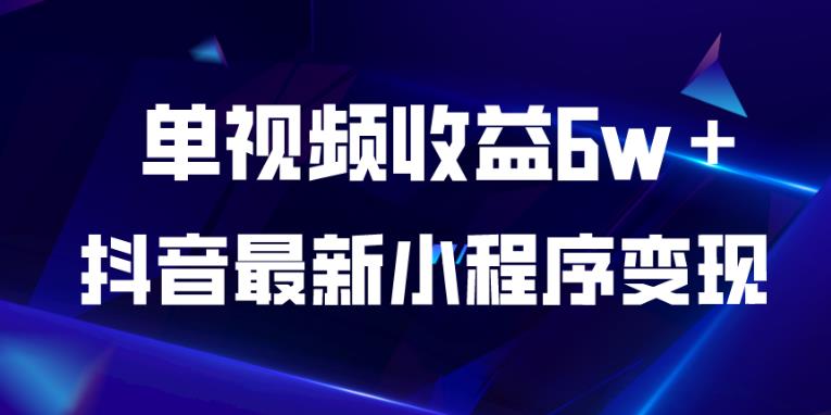 抖音最新小程序变现项目，单视频收益6w＋，小白可做【揭秘】-灵动共创