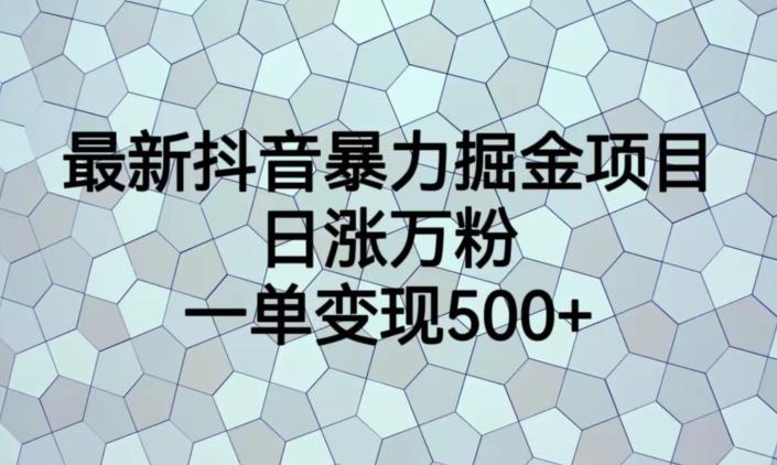 最新抖音暴力掘金项目，日涨万粉，一单变现500+【揭秘】-灵动共创