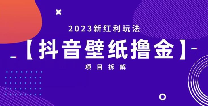 抖音壁纸小程序创作者撸金项目，2023新红利玩法【项目拆解】-灵动共创