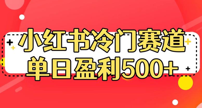 小红书冷门赛道，单日盈利500+【揭秘】-灵动共创