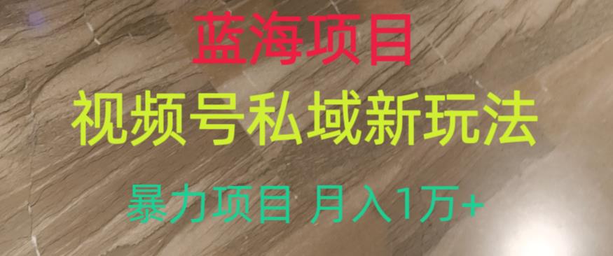 蓝海项目，视频号私域新玩法，暴力项目月入1万+【揭秘】-灵动共创