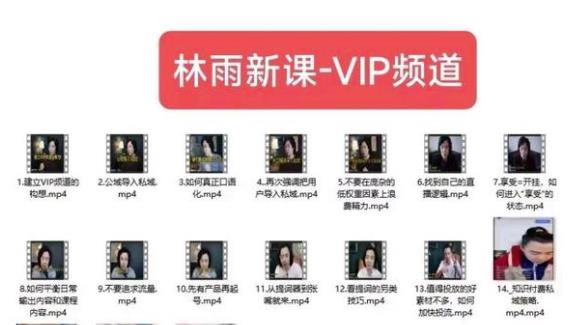 林雨新课VIP频道，玩赚私域/朋友圈/社群-灵动共创