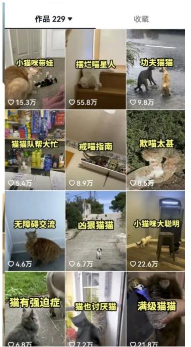 拆解抖音盘点类中视频变现副业项目，视频版一条龙大解析分享给你【视频课程】-灵动共创