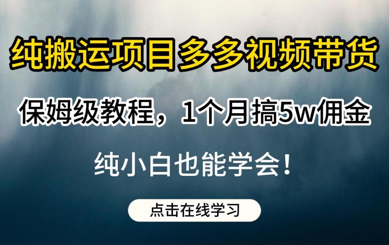 纯搬运项目多多视频带货保姆级教程，1个月搞5w佣金，纯小白也能学会【揭秘】-灵动共创